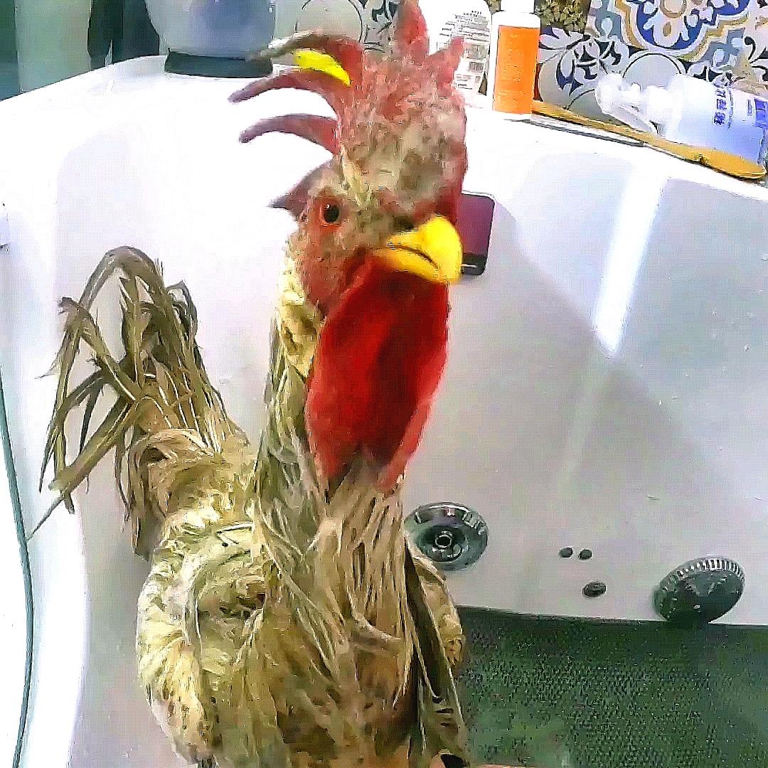 熊起不惑居@抖音