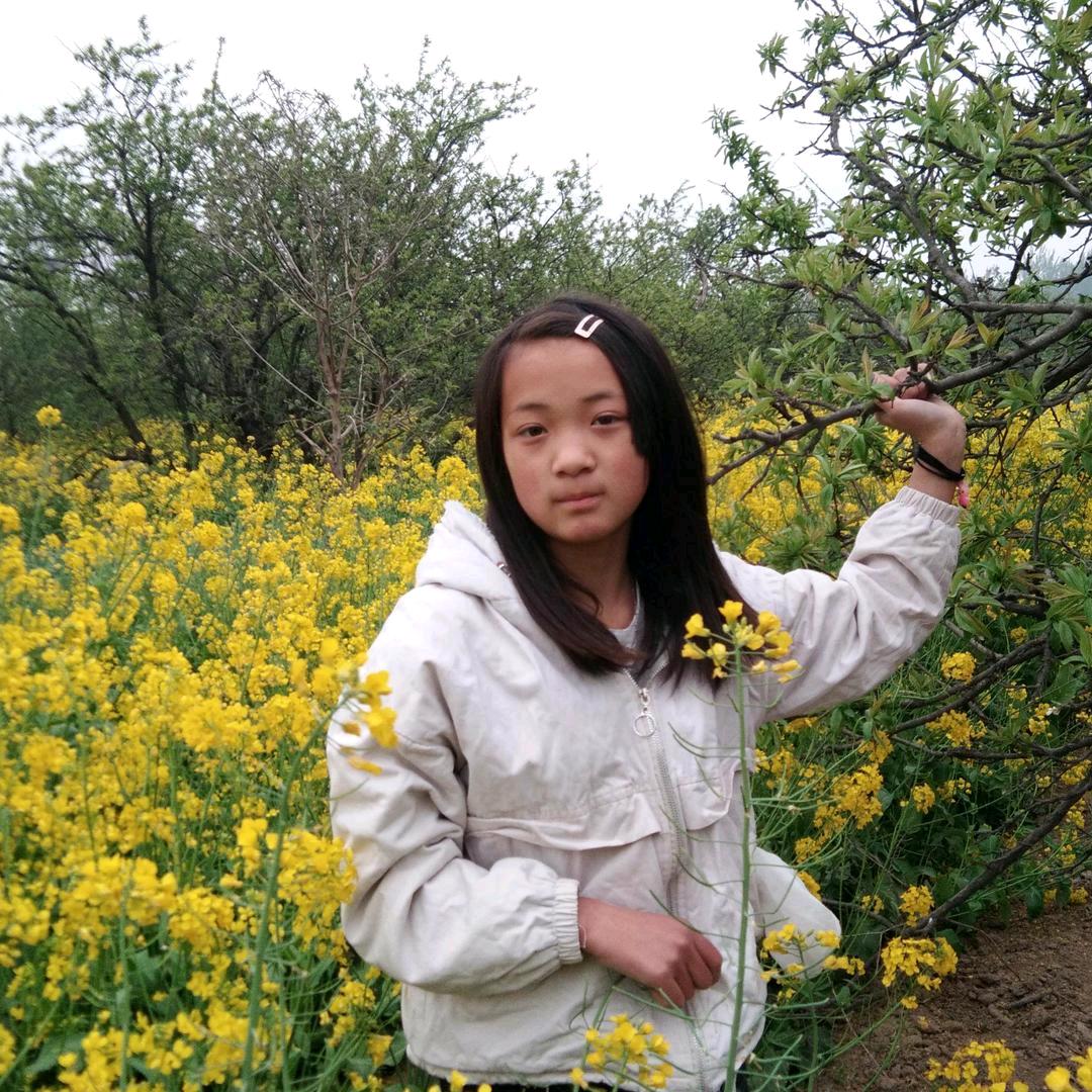 孤独的流浪者……阿龙