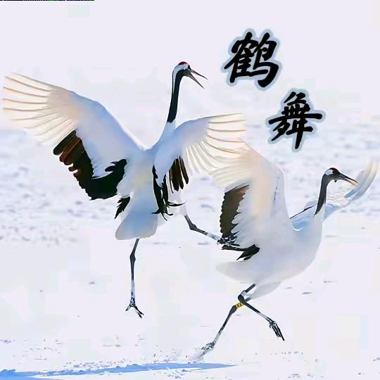 黄千万