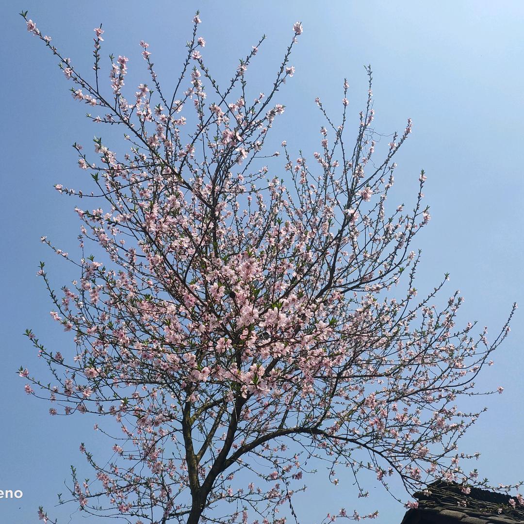 放眼世界，展望未来