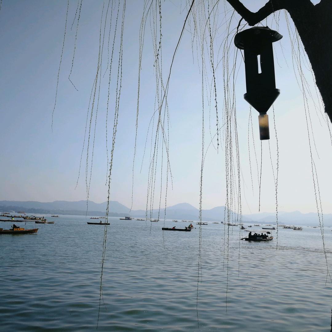 一切皆有可能：