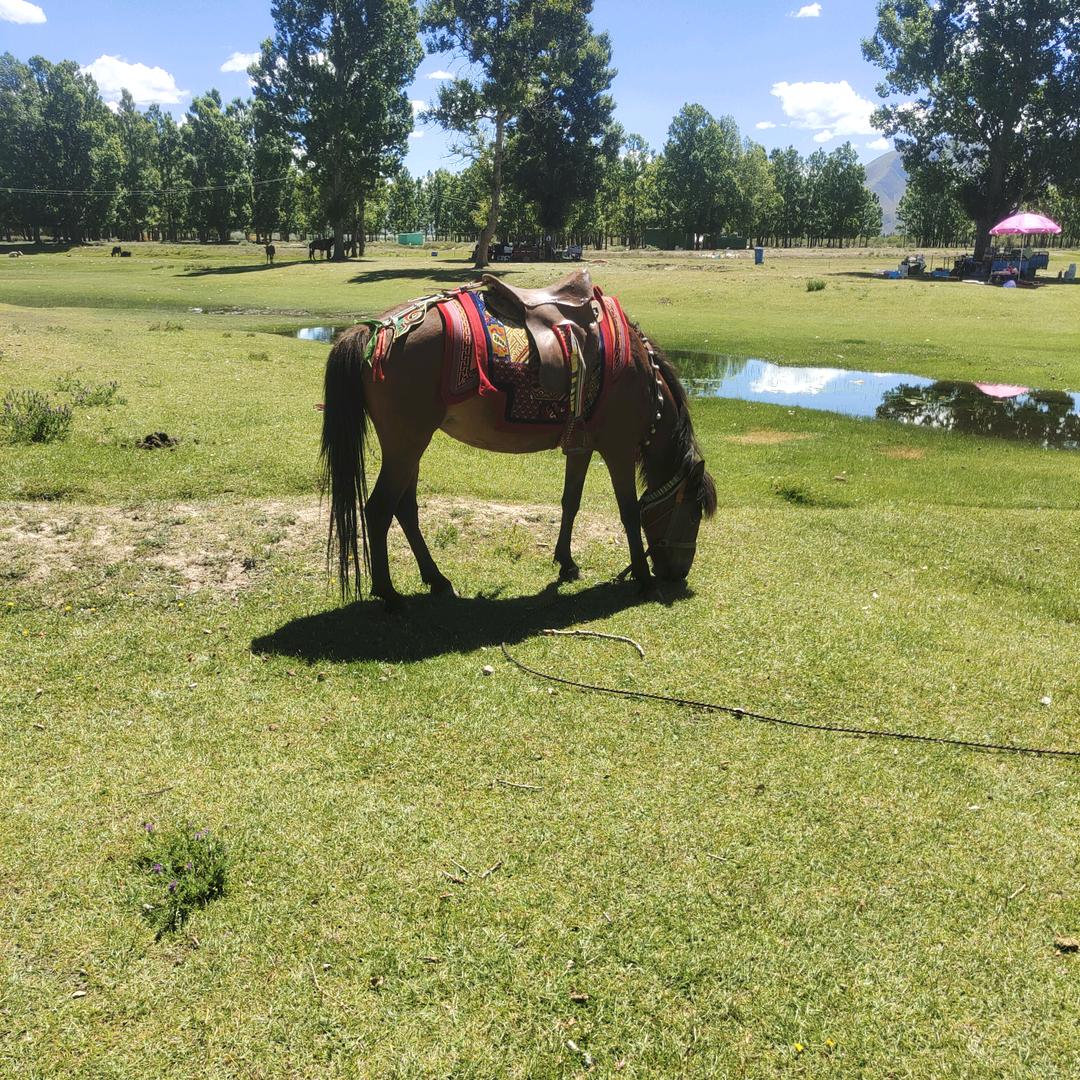 酒💦酒💦酒💦