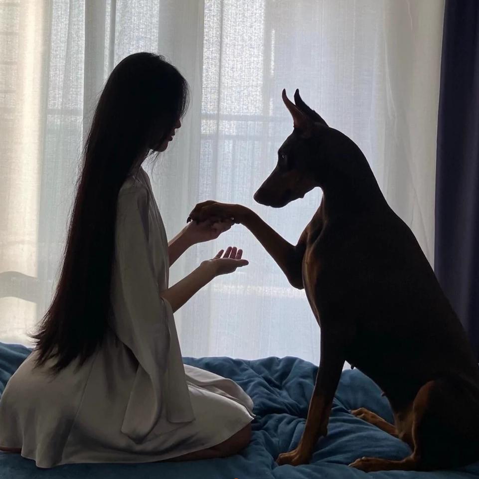 做财阀💫