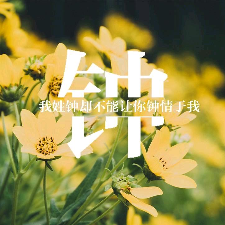@繁星巅巅♥😂
