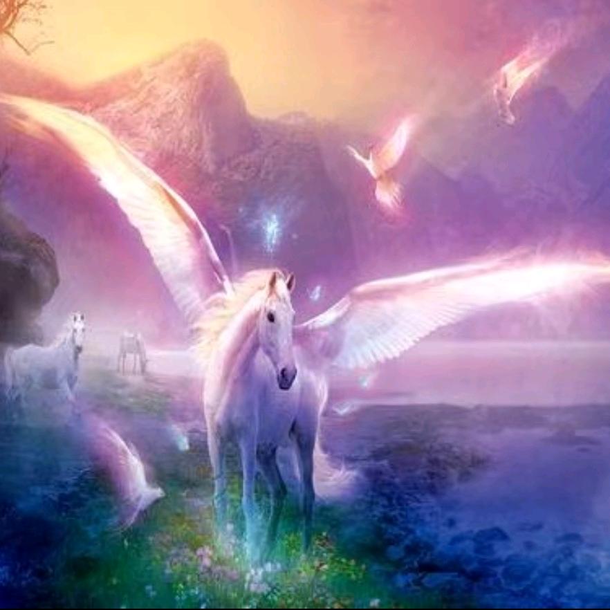 幸福如约而至🌹🌹🌹