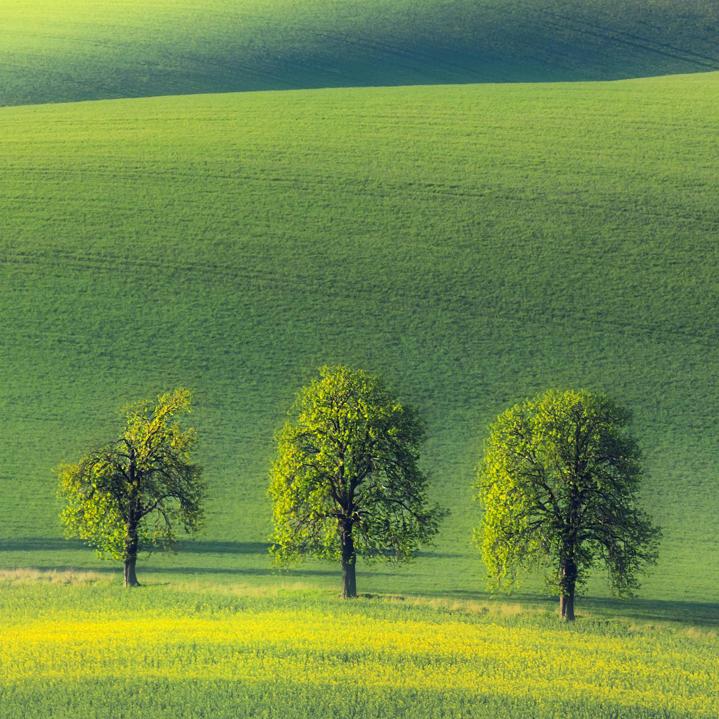 用户3524593140198覃姐