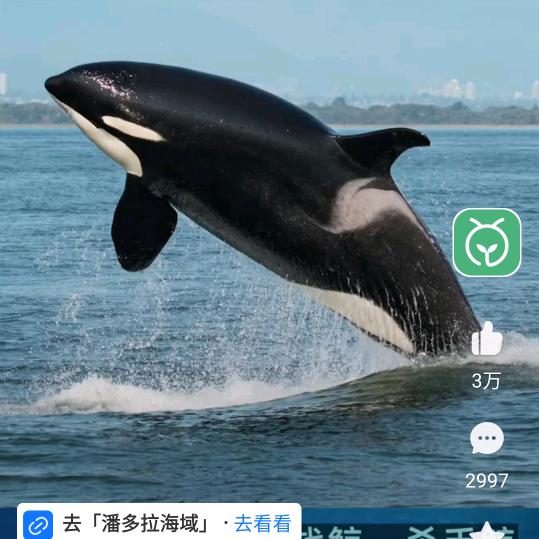 永不言败🙏