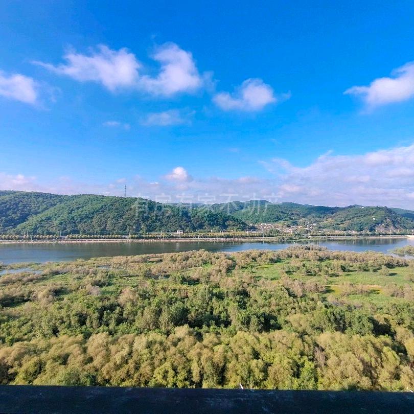 房产糖宝的麻麻