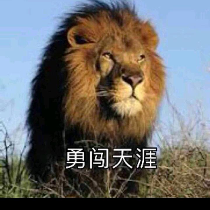 黑桃ACE