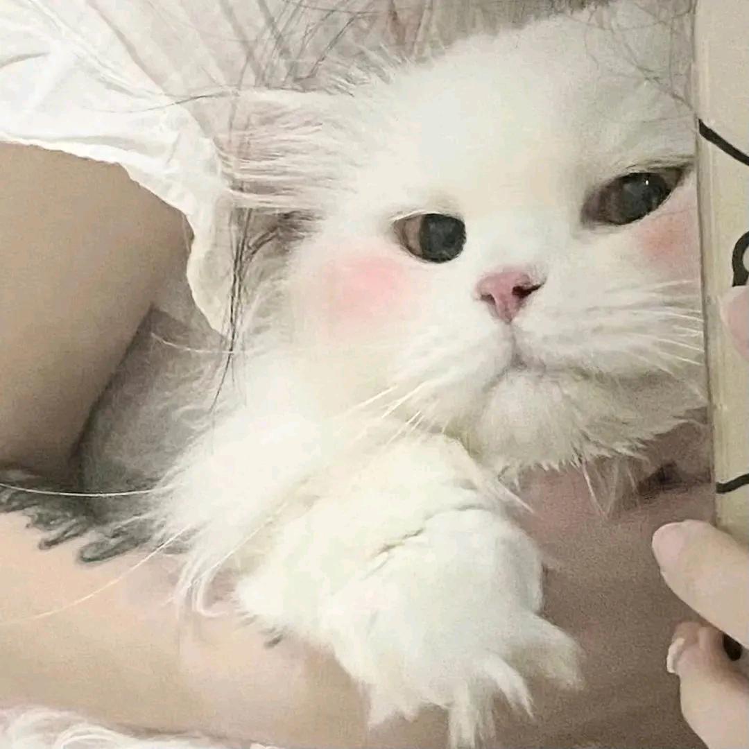 满杯桃桃