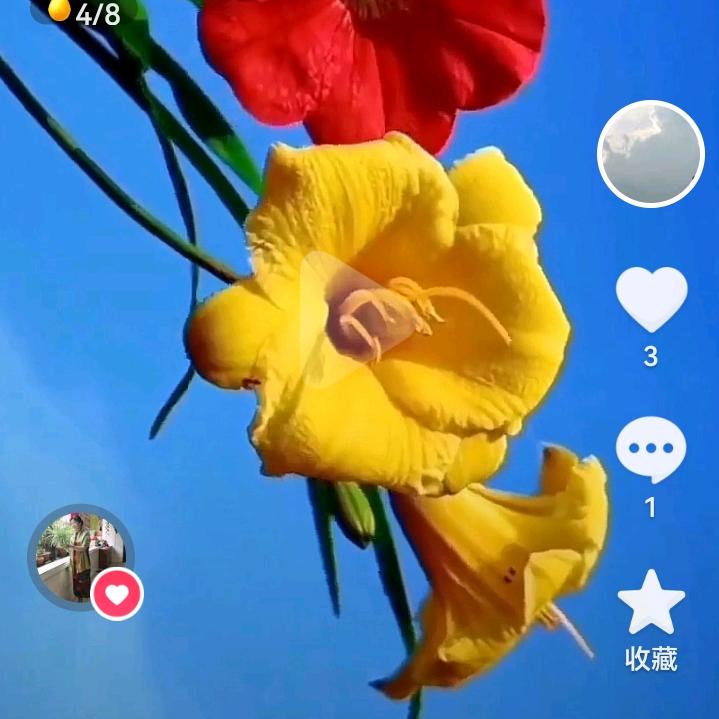 开心头像