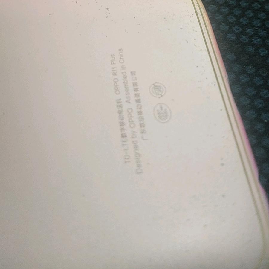 佗佗家的鲤鱼文化