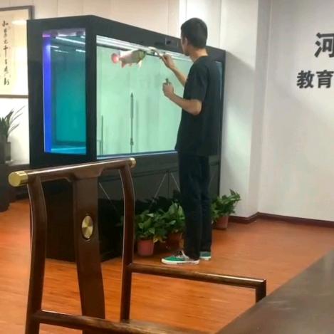 蓝海升学（预科、转专业）