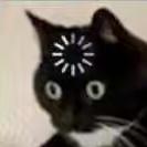 黑炭布丁