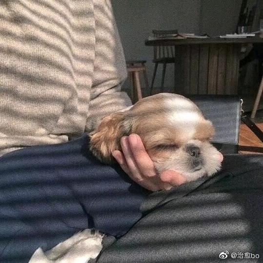 嗨