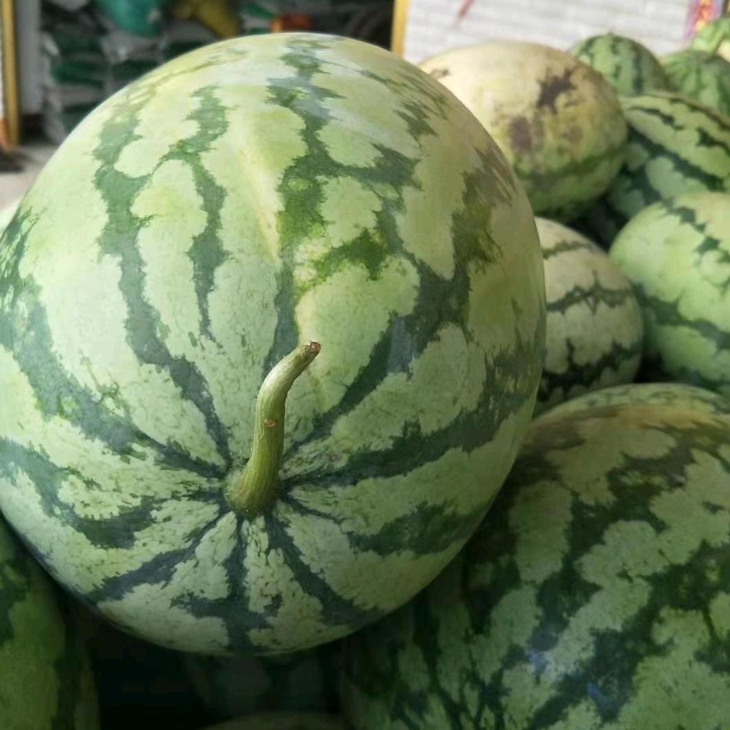 湖北钟祥广敏农贸商