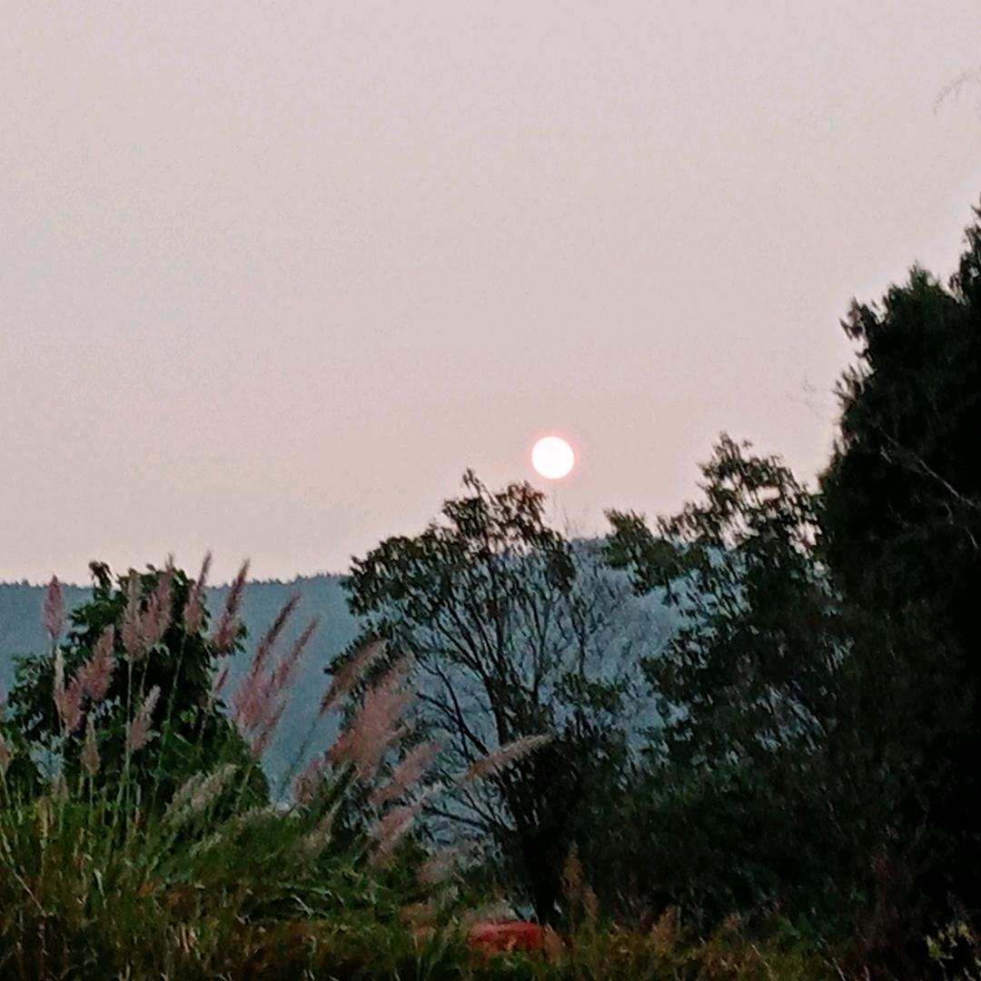 平凡的过拒绝私…