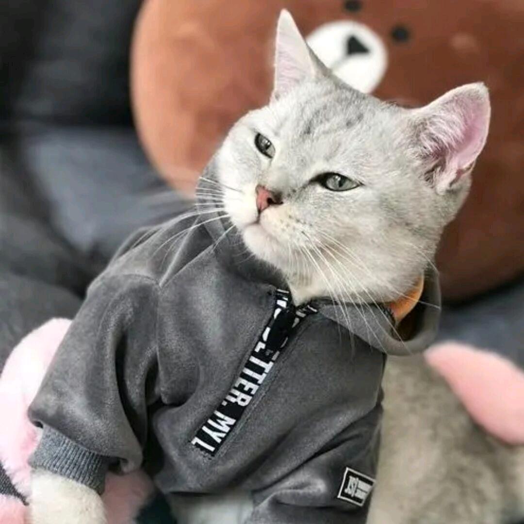 大英博物馆在逃唐三彩