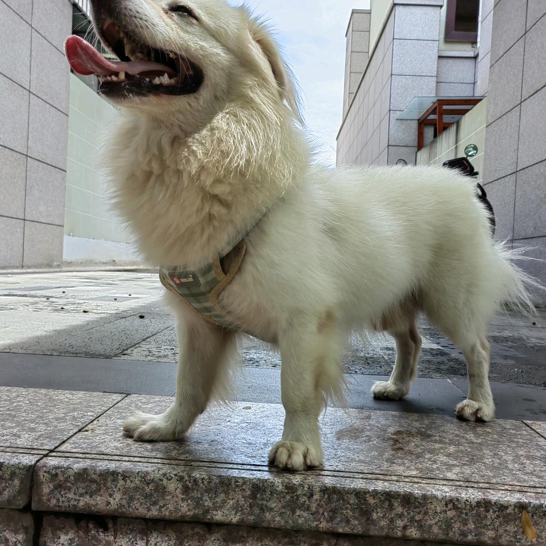 壹月