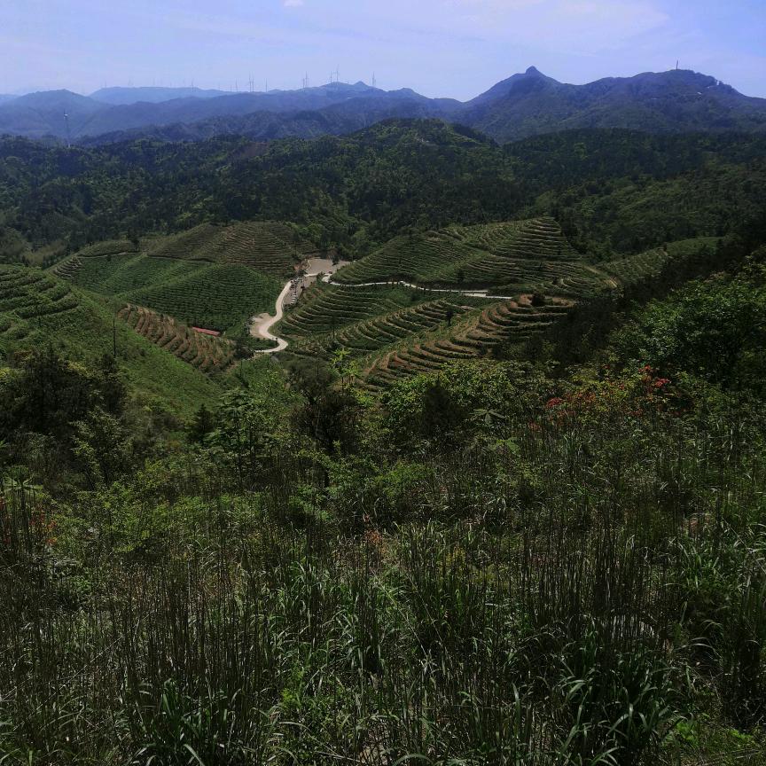 🇨🇳新平气和