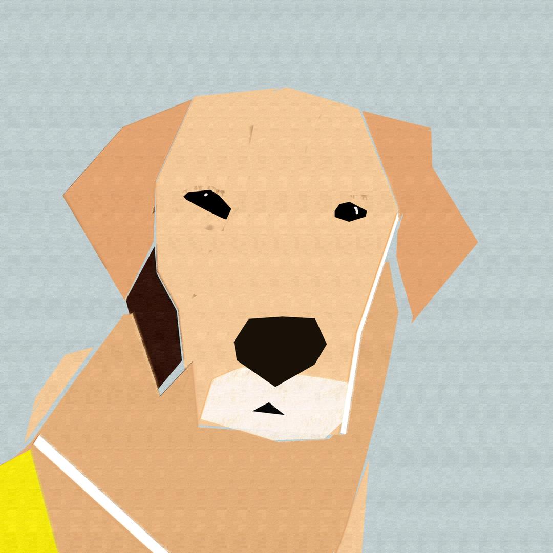 格林宝宝的臭美基地