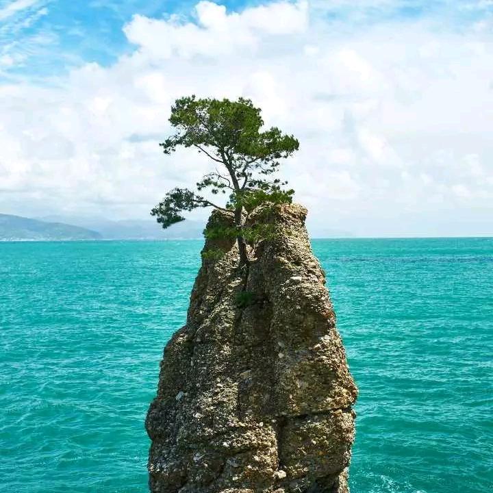 誓夺江山为红颜