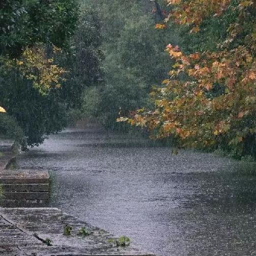 暮色秋雨
