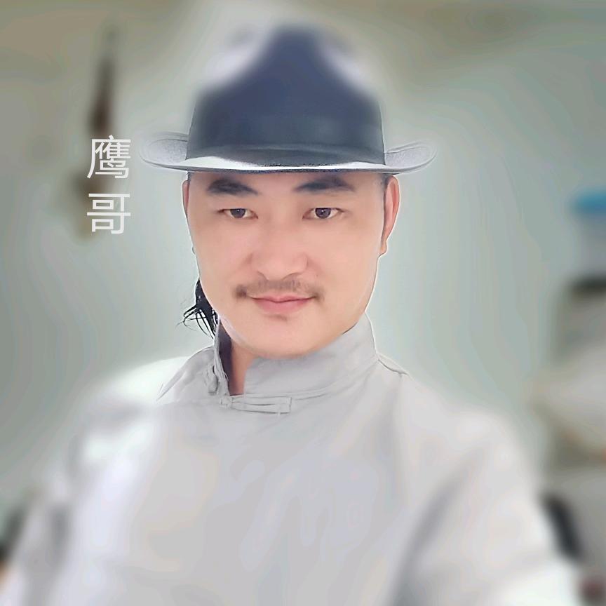 雅安鹰哥
