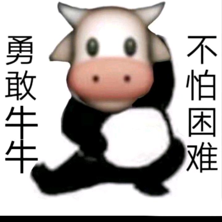 开心果8