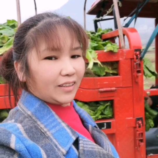 乌布兰