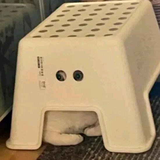 吃不吃巴呐呐