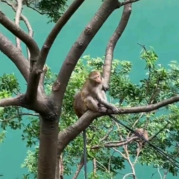 75单身兔往后余生爰自己