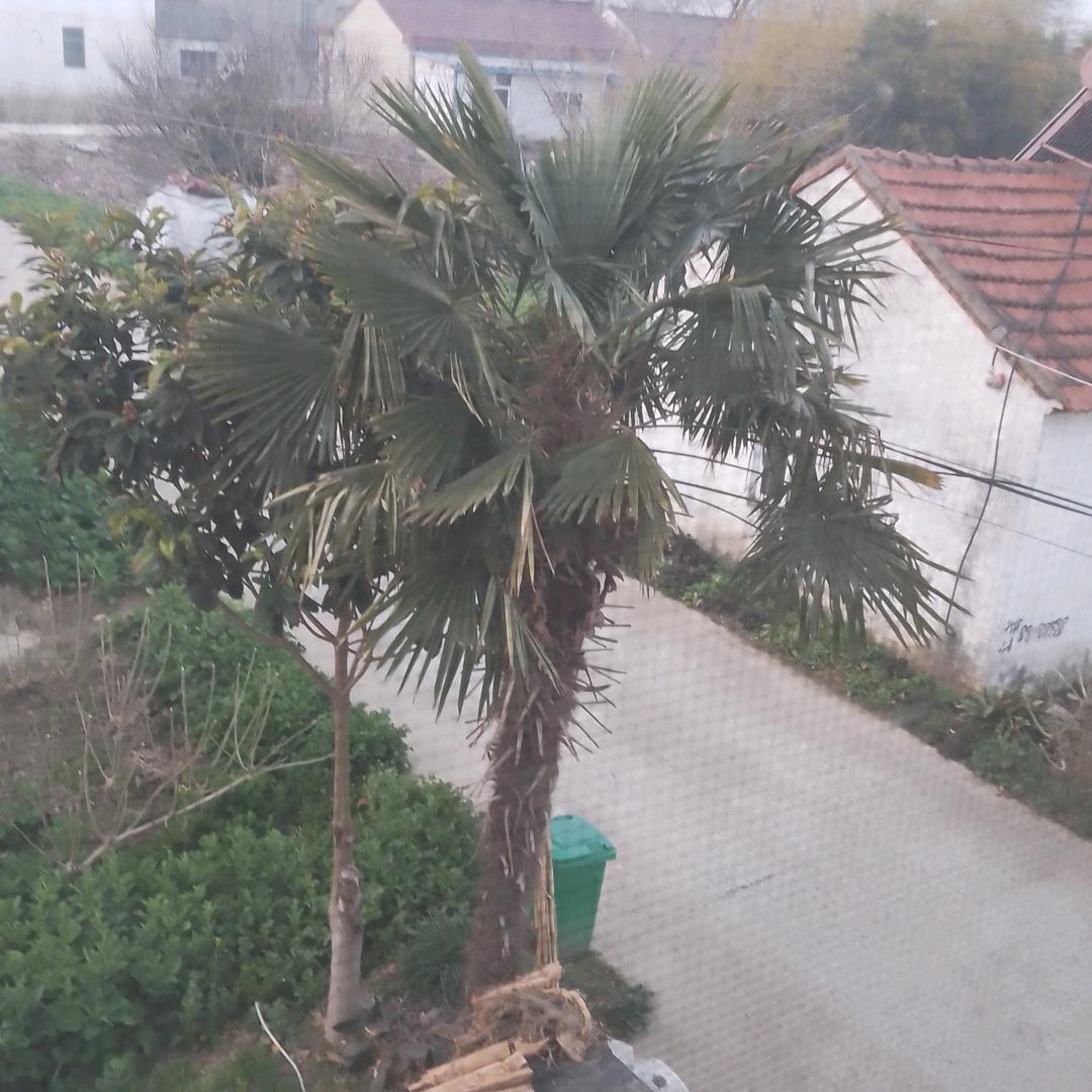 向华利