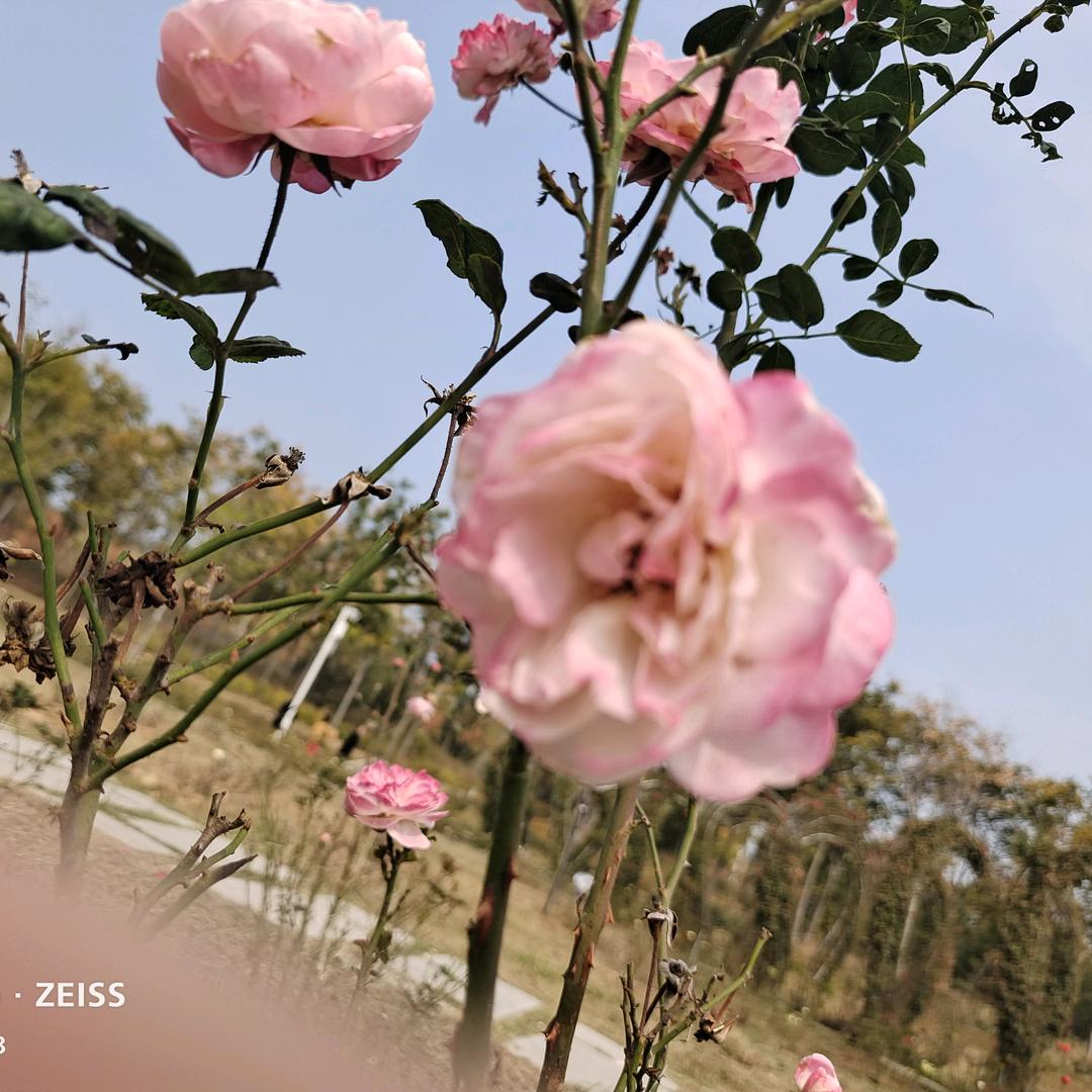 ⌓‿⌓聿亲＾3＾