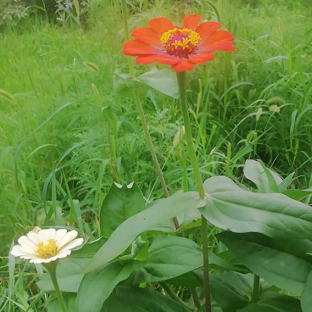 *新*❤️巜拒私聊》