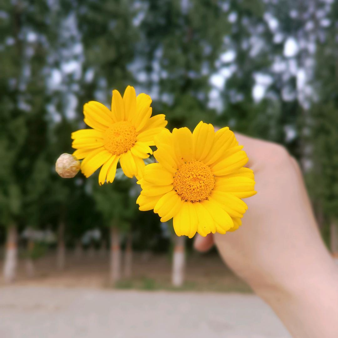 小邵远