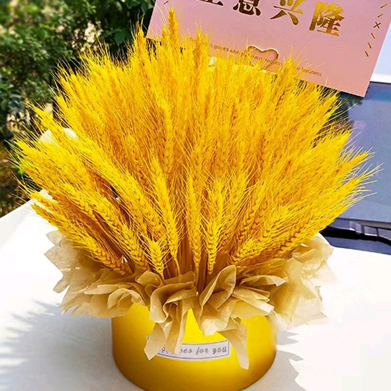 金彩文化传媒有限公司