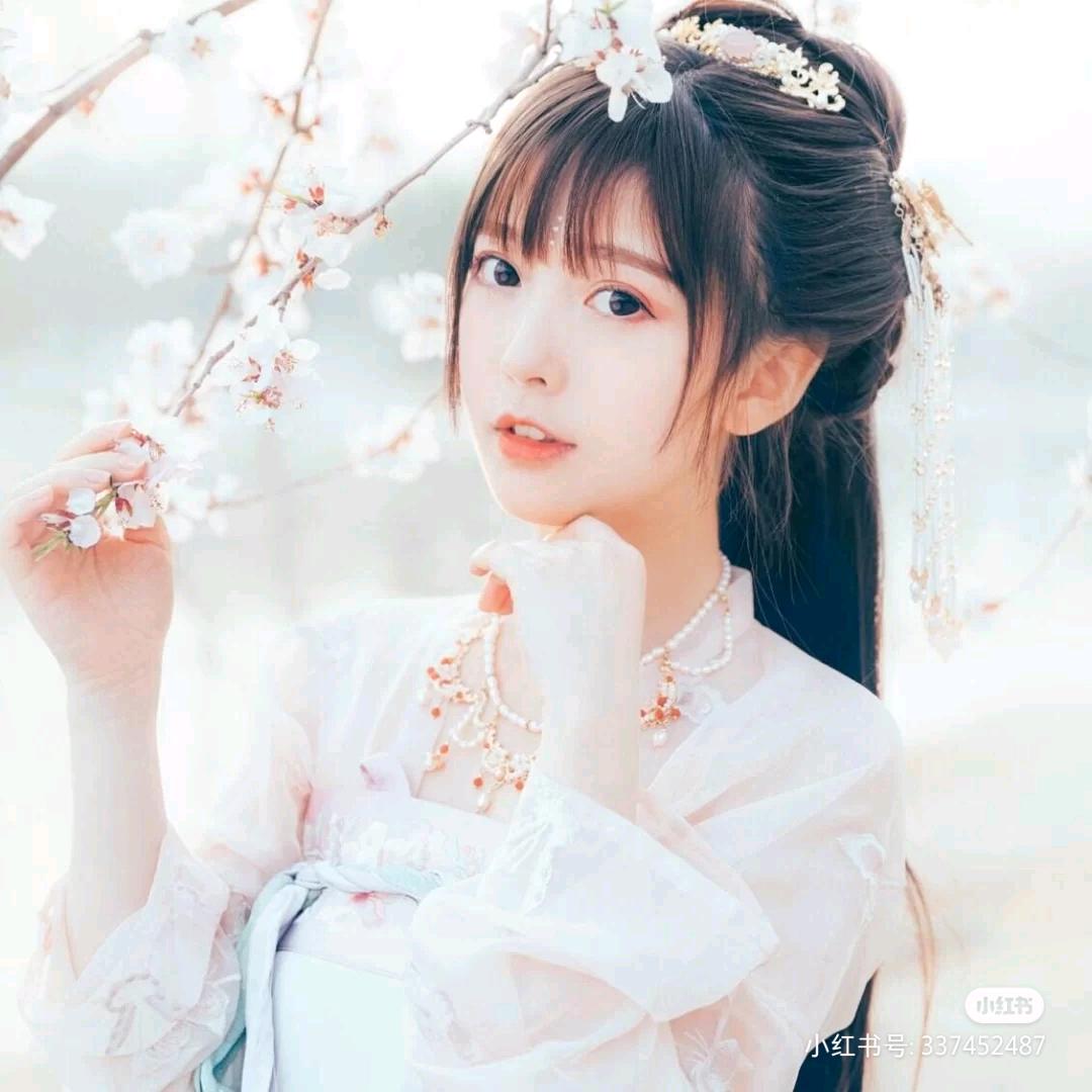 丢弃的玫瑰