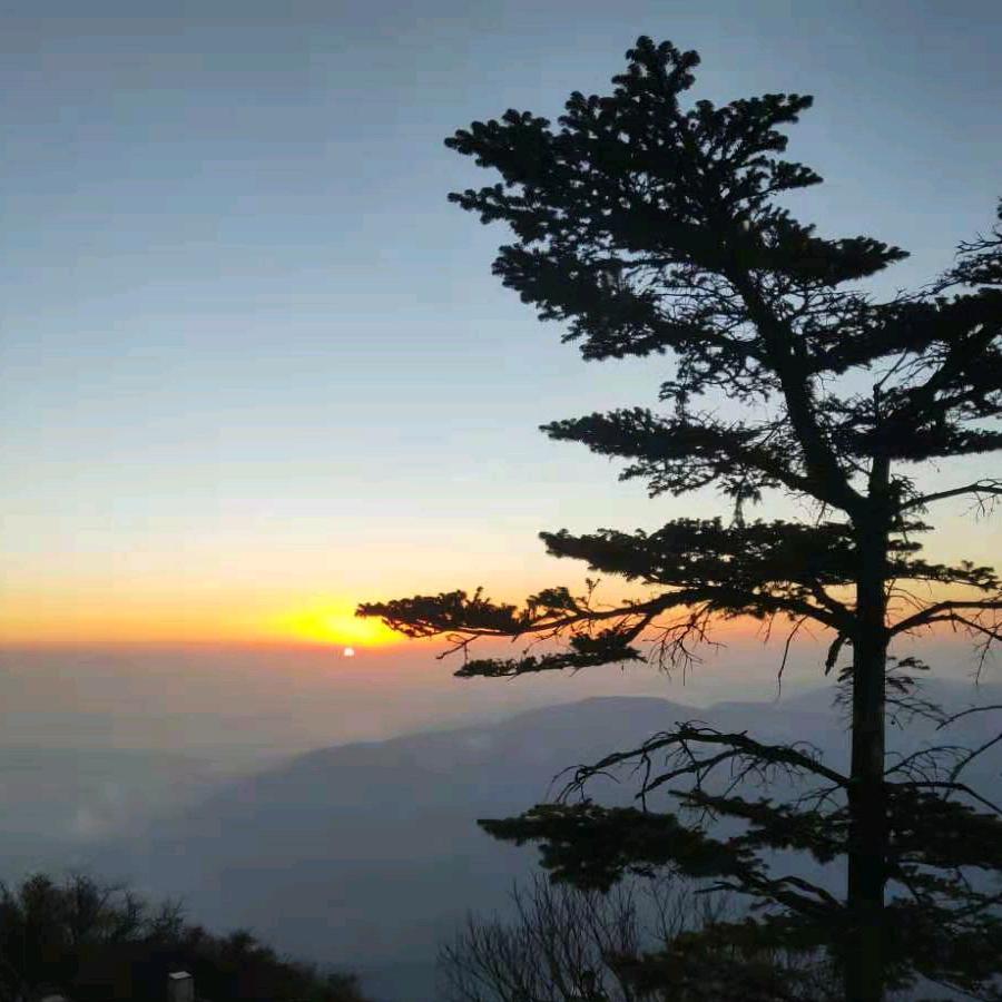 ༺余生༵自己走༻