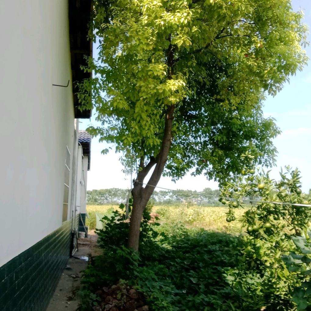 用户7026015073320