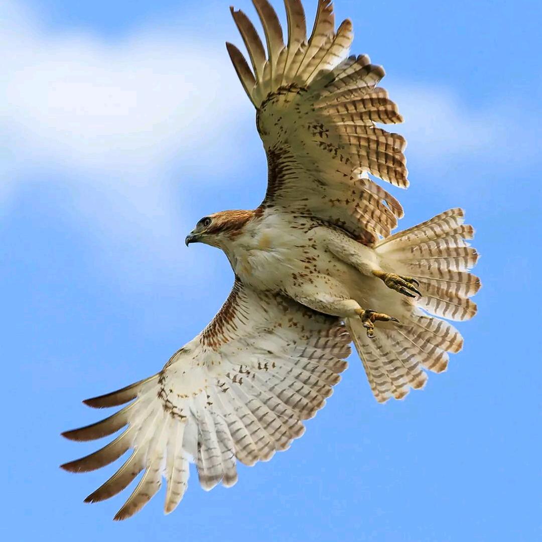 💔笑💥着💖退🎊场💔