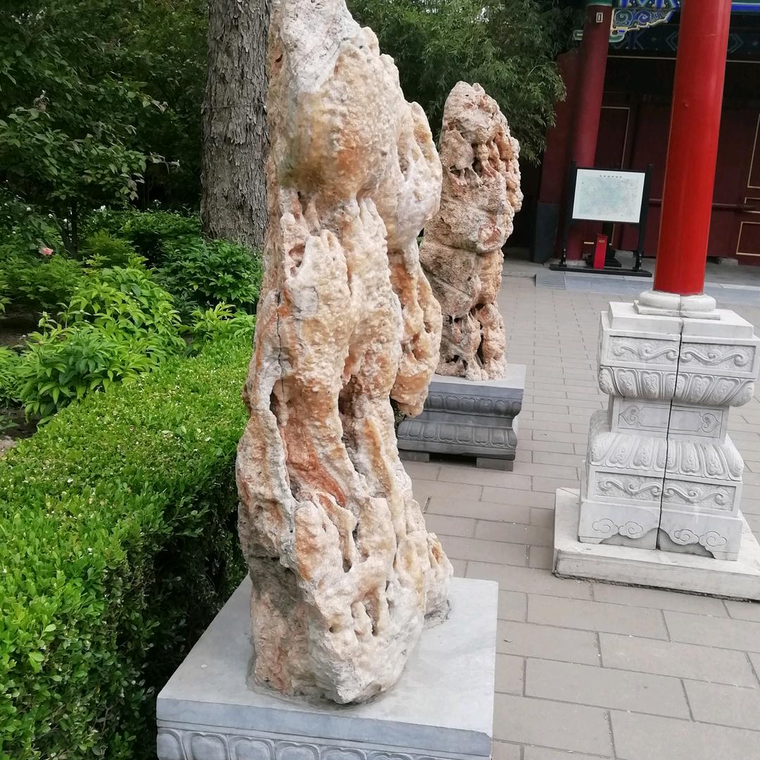 用户8738596011663