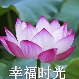 王