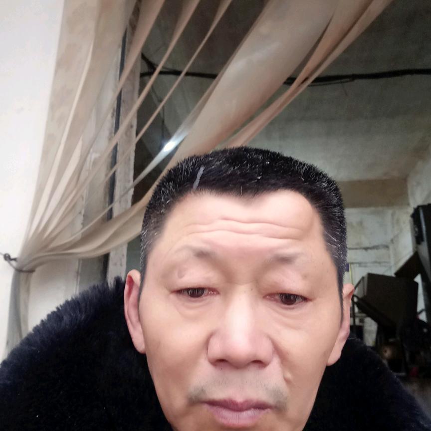 陈哥