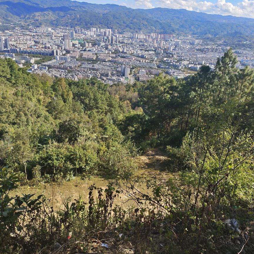 随峰
