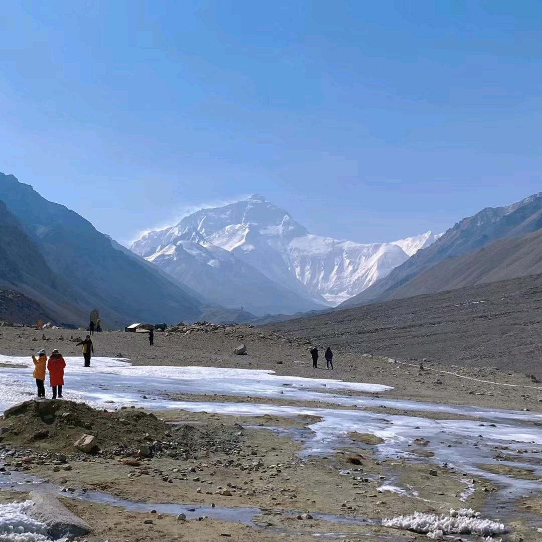 旺财＜勿秒赞＞