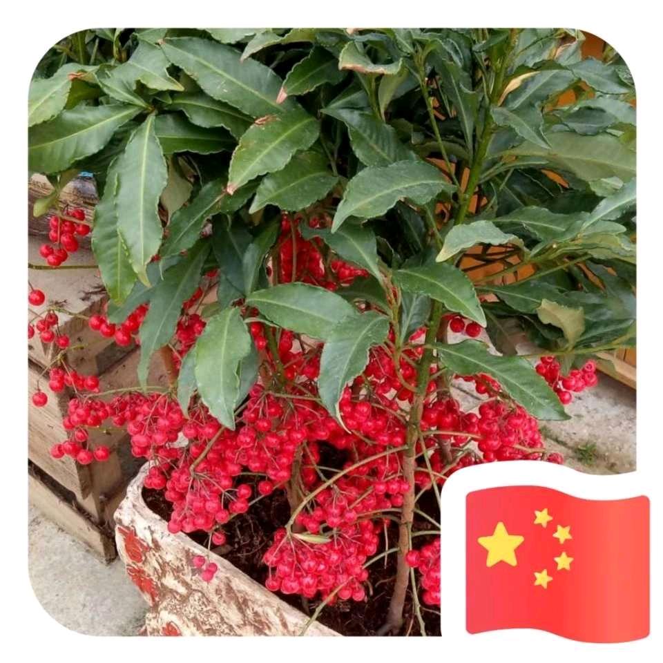 自由在