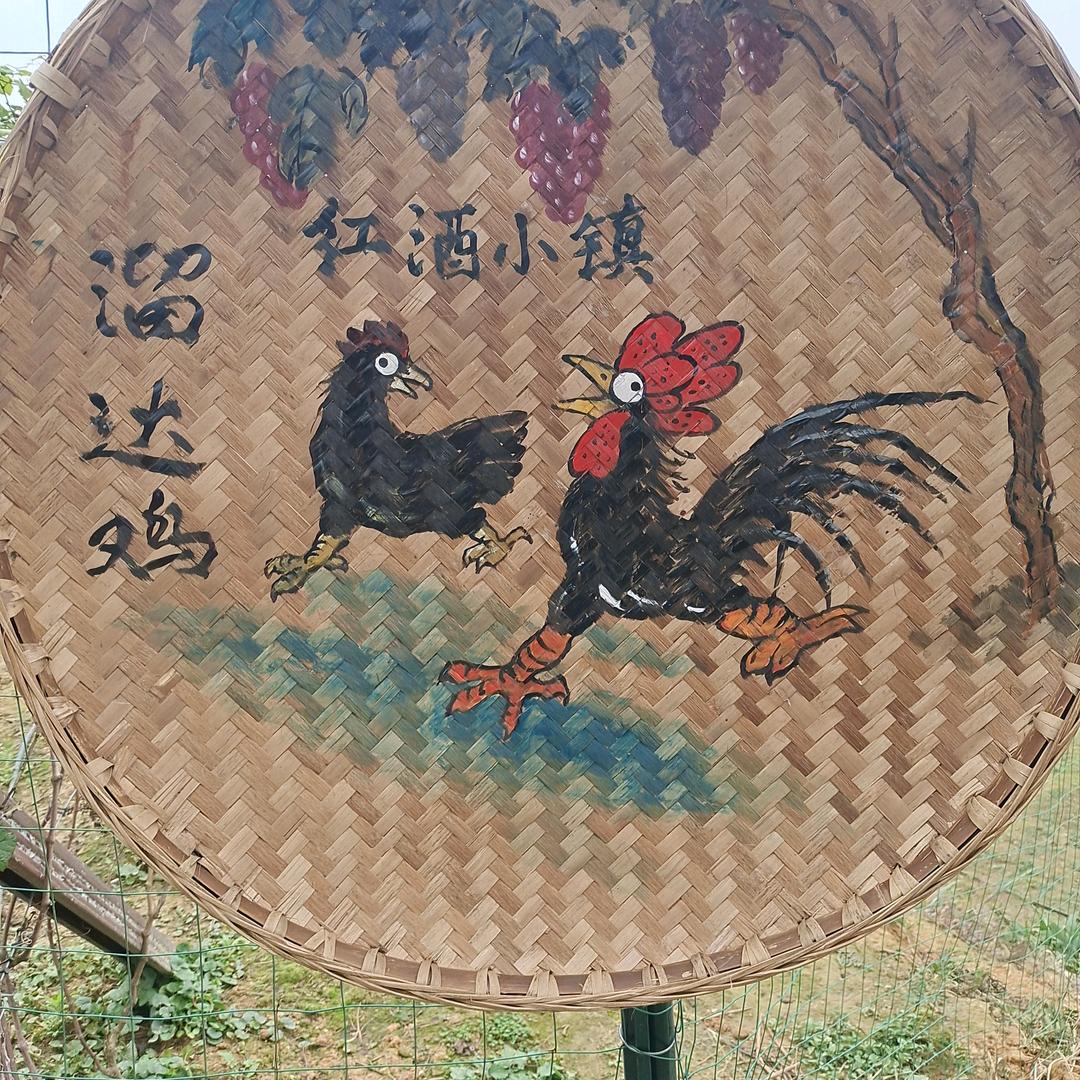 溜达小鸡