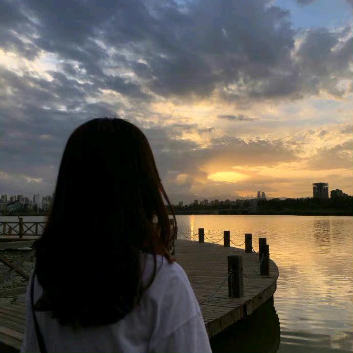 风荷丽景-小李子