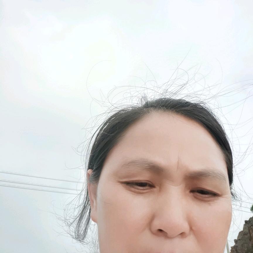 迟哈哈